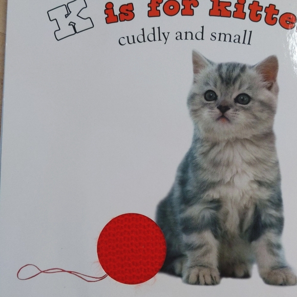 b is for bear by priddy books touch & feel baby toddler alphabet board book - Picture 7 of 9